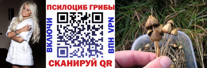 Псилоцибиновые грибы мухоморы Шумерля